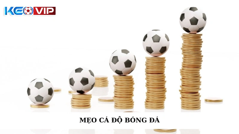 Mẹo Cá Độ Bóng Đá - Chìa Khóa Vàng Dẫn Đến Chiến Thắng