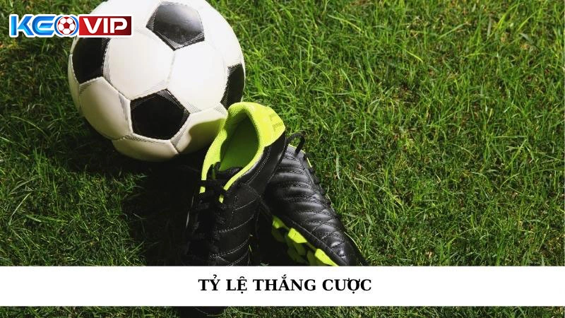 Tỷ Lệ Thắng Cược - Bí Quyết Nâng Tầm Cùng Keonhacai